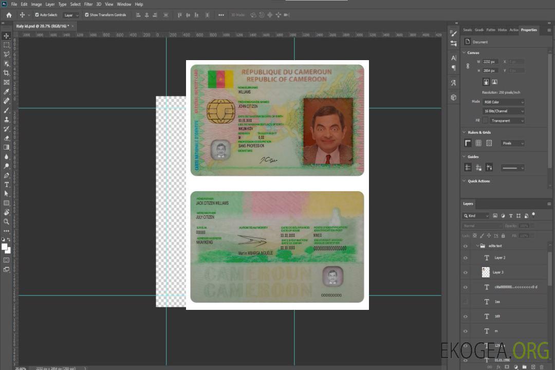 Carte d'identité du Cameroun template Carte d'identité du Cameroun template